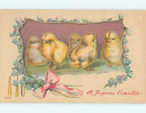 Divided-Back Easter CHICKS WITH FLOWERS AND PINK RIBBON o6621