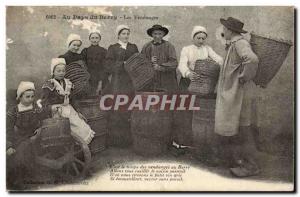 In the Land of Berry - The Harvest - baskets - Old Postcard