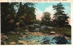 Mosquito Valley Road Scenic Bridge Trees Williamsport Pennsylvania PA Postcard