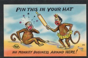 Colour PC Pin This In Your Hat No Monkey Business Around Here unused