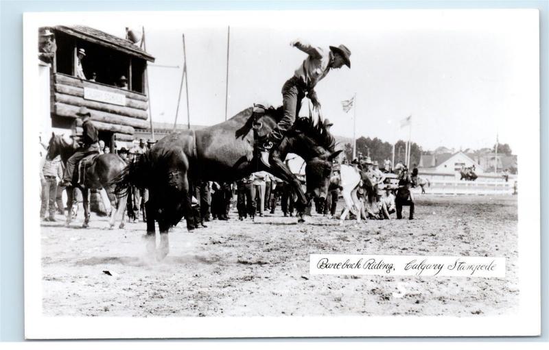 1950s Calgary Stampede Bucking Horse Bareback Riding Real Photo Postcard C20