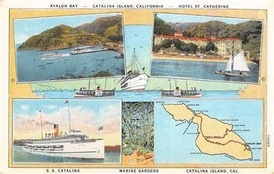 Avalon Bay, Catalina Island, S.S. Catalina, California ca 1920s Vintage Postcard