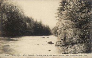 Barkhamsted Connecticut CT Farmington River De Mars Real Photo RPPC