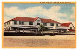 Postcard BUILDING SCENE Rehoboth Beach Delaware DE AP5035