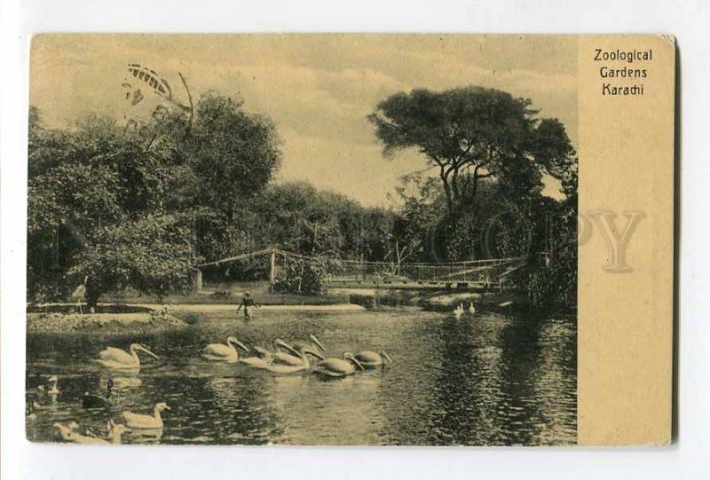 287259 PAKISTAN KARACHI ZOO Zoological Garden Vintage RPPC