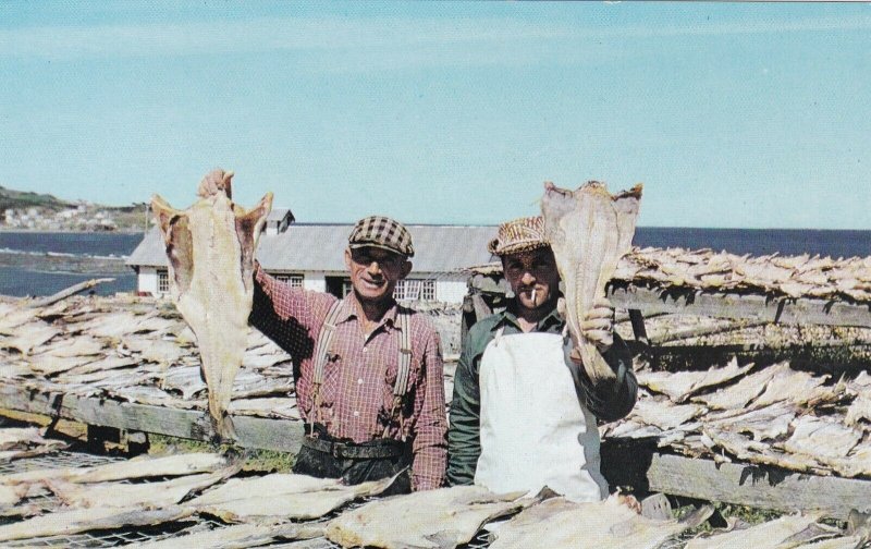 Canada Quebec Gaspe Fishermen Drying Cod sk6945