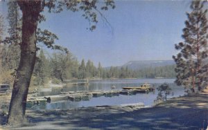 California BASS LAKE McDougald's Rocky Point Pine Point c1950s Vintage Postcard