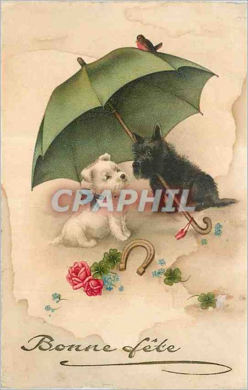 Old Postcard Bonne Fete Dogs
