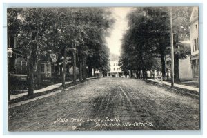 c1905 Main Street Looking South Roxbury In The Catskills New York NY Postcard 