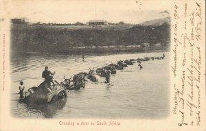 Crossing a river in South Africa Vintage Postcard 05.23