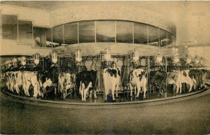 1930s Plainsboro New Jersey Rotolactor Milker Advertising Postcard 25-11979