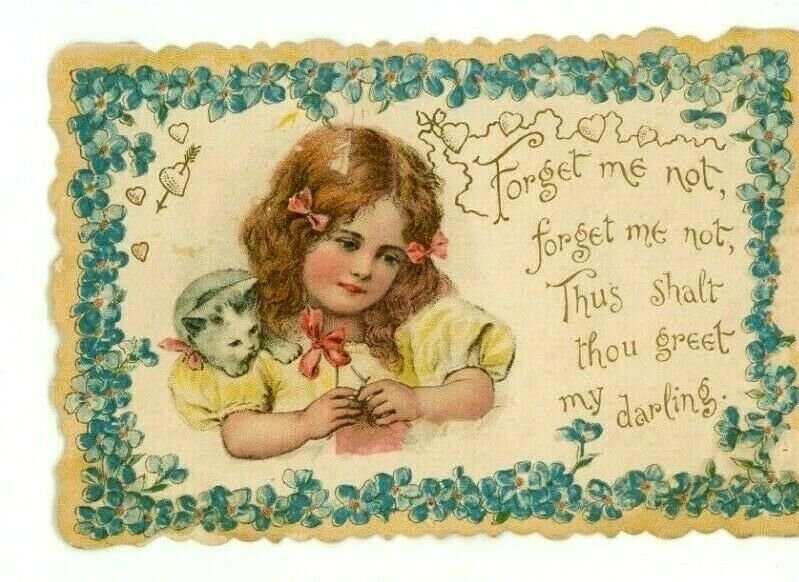 1880s-90s Embossed Victorian Valentine Card Adorable Child & Cute Cat P216