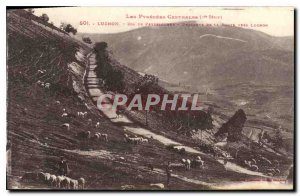 Old Postcard The Pyrenees Luchon Central Sheep road descent to Luchon