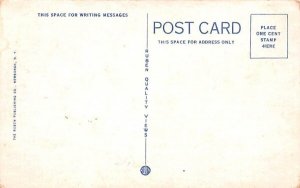 Rustic Bridge Middletown, New York Postcard