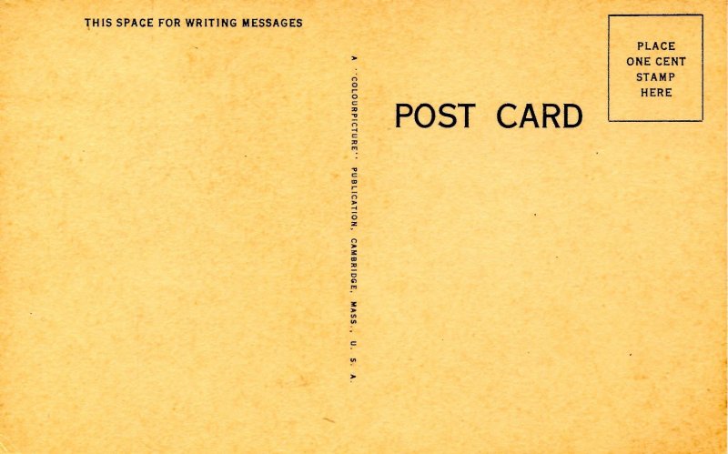 Humor - Our Last Scent