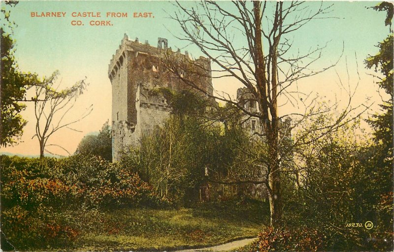 Postcard UK England Blarney castle Cork