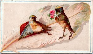 Trade Card - Woolson Spice Lion Coffee - Birds on feather