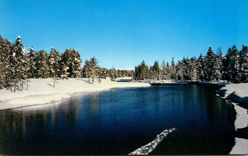 Idaho Island Park Scene On Buffalo River