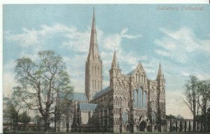 Wiltshire Postcard - Salisbury Cathedral   ZZ2143