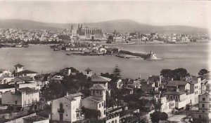 Spain Palma de Mallorca La Catedral Desde El Terreno Real Photo