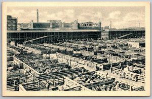 Vtg Illinois IL Swift & Company Chicago Plant Stock Yard Postcard