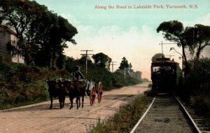 Yarmouth, Nova Scotia - Oxen drawn cart and Trolley to Roadside Park - c1911