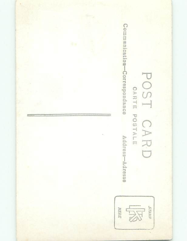 Old rppc NATURE SCENE Great Postcard AB0587