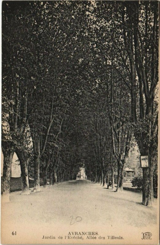 CPA AVRANCHES - Jardin de l'Eveche Allée des Tilleuls (149252)