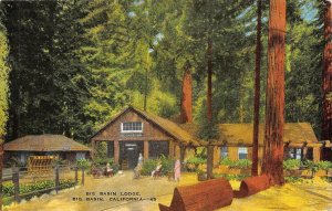 CA, California  BIG BASIN LODGE~Redwoods State Park  ROADSIDE  c1940's Postcard