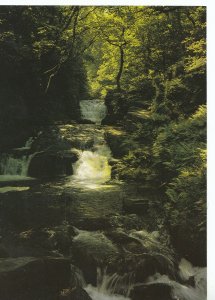Devon Postcard - Watersmeet - Lynmouth - Falls on Hoar Oak Water - Ref AB2774