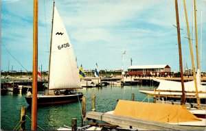 Vtg Dewey Beach Delaware DE Sailboat Setting Out Under Full Sail Marina Postcard