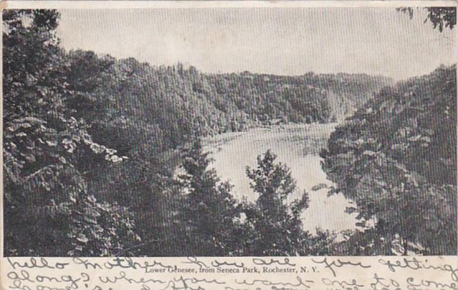 New York Rochester Scene On Lower Genesee River From Seneca Park