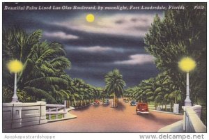 Florida Fort Lauderdale Beautiful Palm Lined Las Olas Boulevard By Moonlight ...