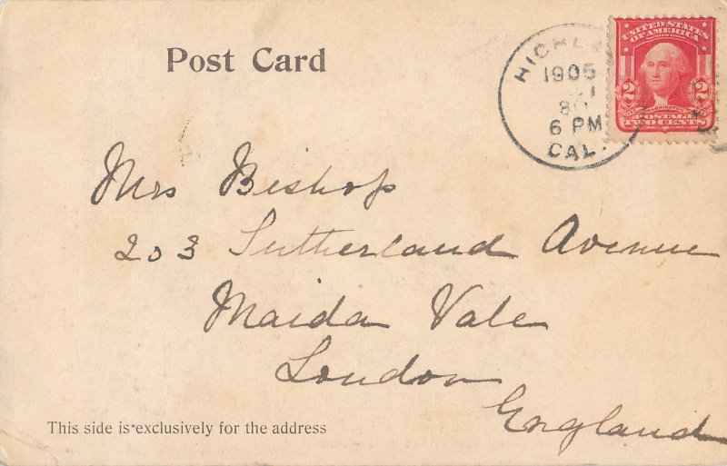 United States California Rialto Century Plant 1905