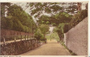 Sussex Postcard - Sea Road - Bexhill-on-Sea - Ref 2304A