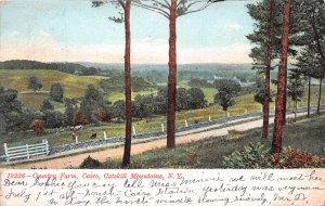 Country Farm, Cairo, Catskill Mountains, N.Y.,  Early Postcard, Used in 1909