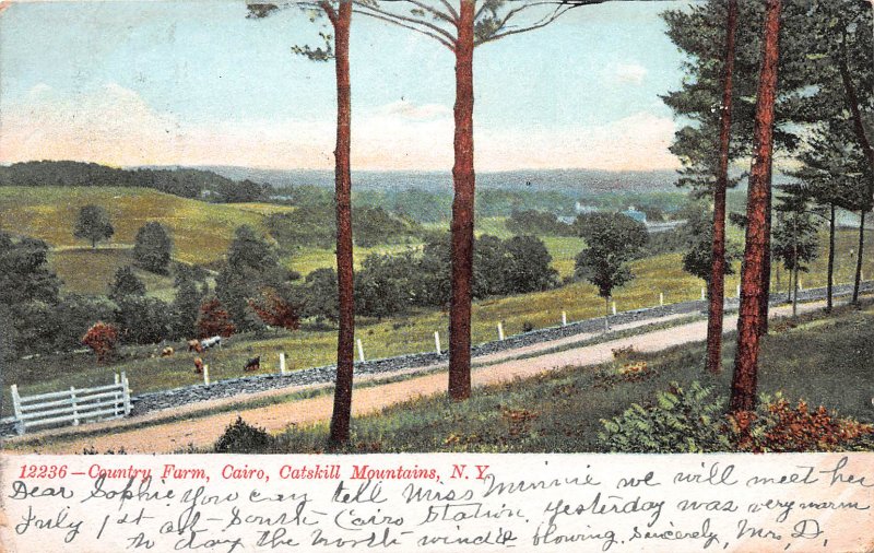 Country Farm, Cairo, Catskill Mountains, N.Y.,  Early Postcard, Used in 1909