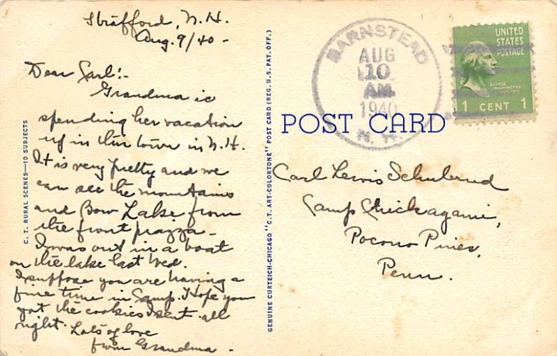 Cow Post Card Greetings Strafford, Bow Lake NH USA 1940