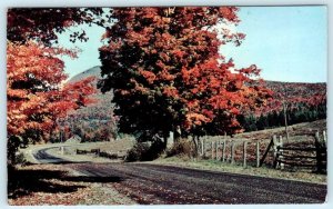 HACKENSACK, New Jersey NJ ~ Advertising MARLIN SHOP Main Street ca1950s Postcard