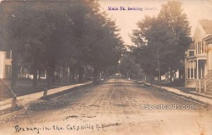 Main Street - Roxbury in the Catskills, New York NY  