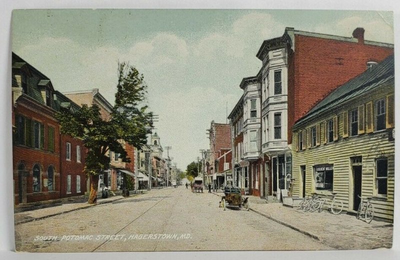 Hagerstown Maryland South Potomac Street Postcard T7