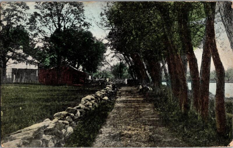 The Willows, Westboro Westborough MA Tree-Lined Lane c1909 Vintage Postcard O16