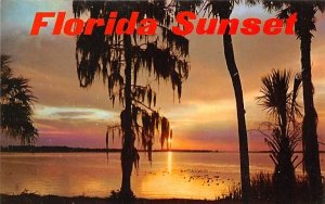 Florida Sunset  