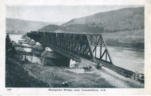 Matapedia Bridge ~ near Campbellton New Brunswick ~ Vintage Postcard