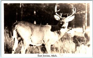 M-77287 Deer East Jordan Michigan