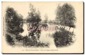 Old Postcard Foret De Fontainebleau Mare Aux Pigeons Franchard