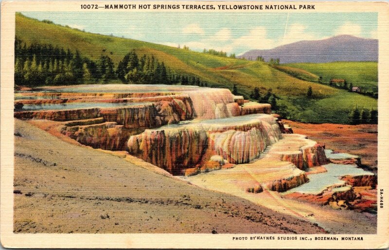 Mammoth Hot Springs Terraces Yellowstone National Park Bozeman Arizona Postcard 