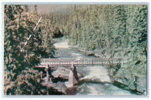 1946 Scenic Lake McDonald River Glacier National Park Montana MT RPO Postcard