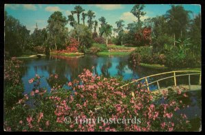 Famous Cypress Gardens