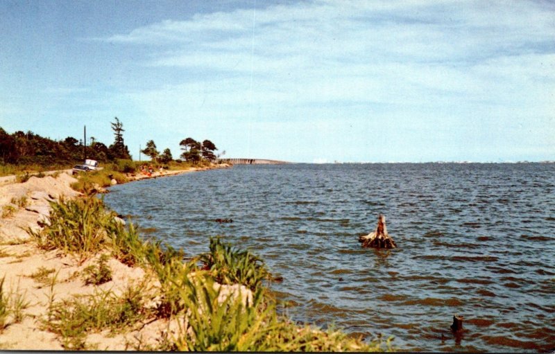 Maryland Ocean City Greetings Showing Assawoman Bay